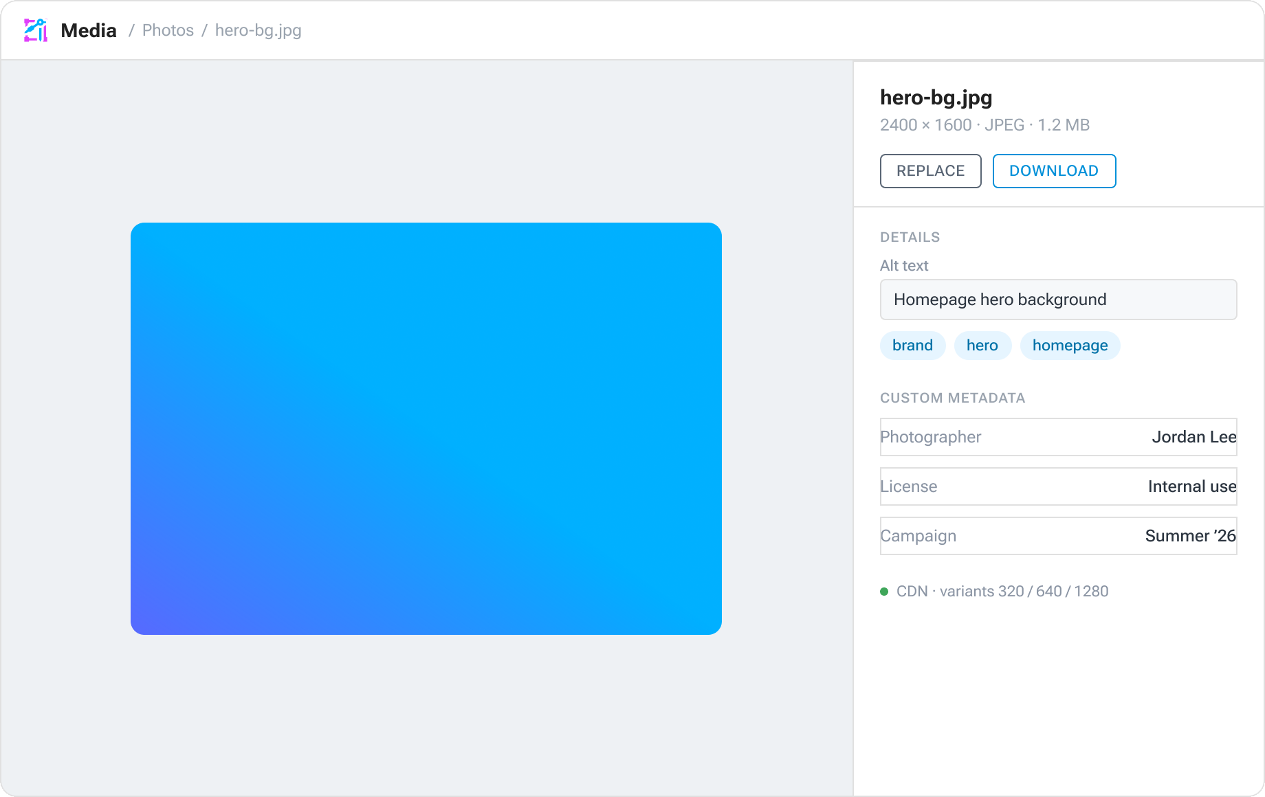 Aglyn Media library — approved product screenshot